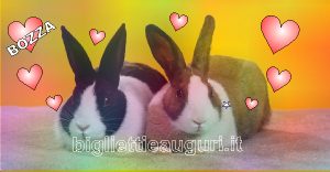 biglietti di Amicizia con immagini di conigli simpatici