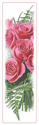 Immagini rose rosse per S.Valentino